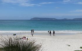 Albany Motel & Apartments